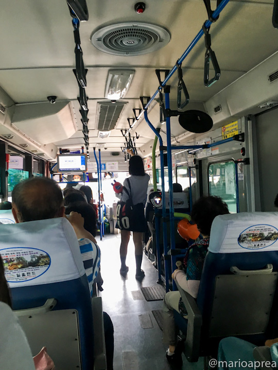 Thumbnail Autobus Jeju Korea