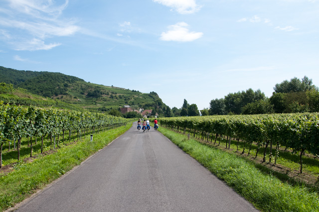 Thumbnail I campi  del Wachau