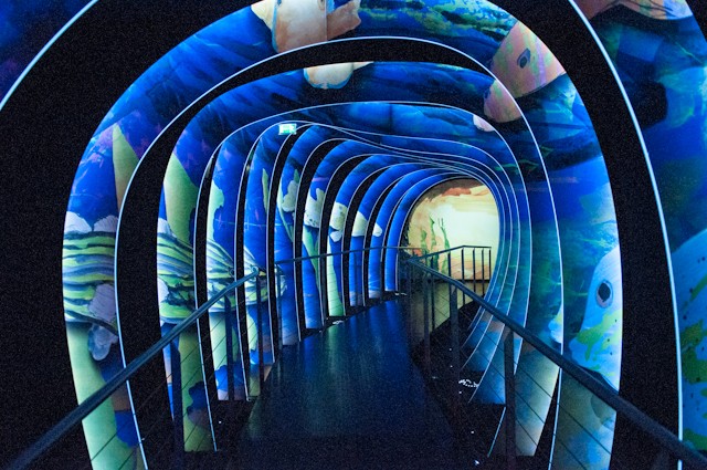 Kristallwelten - Il tunnel subacqueo