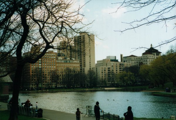 Central Park Harlem